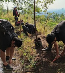 TREE PLANTION